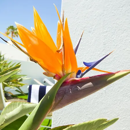 Villa El Golfo - By Az *